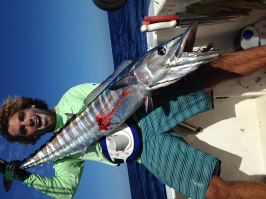 Rincon Boat Charters-吕康必去景点