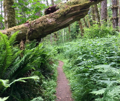 Guillemot Cove Nature Preserve-Seabeck必去景点