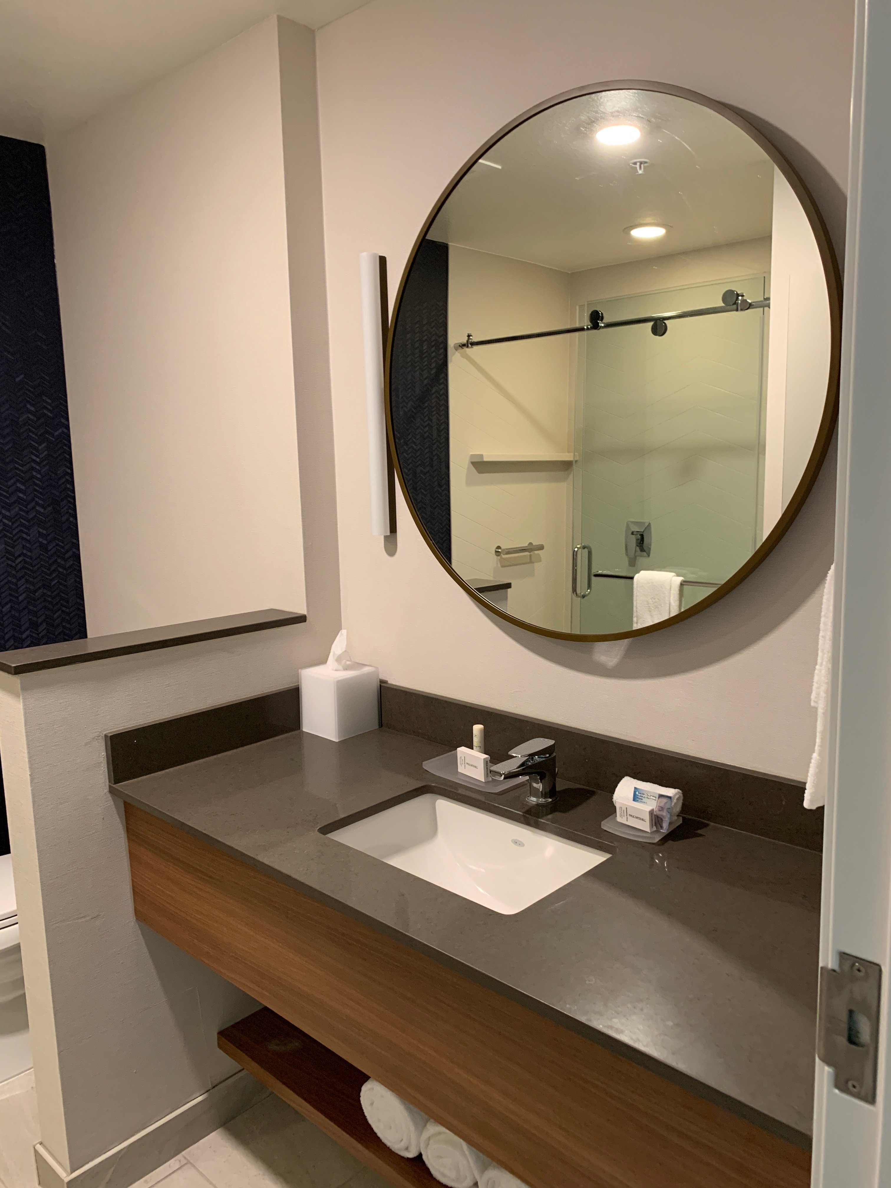Fairfield Inn & Suites by Marriott Tampa Wesley Chapel-浴室