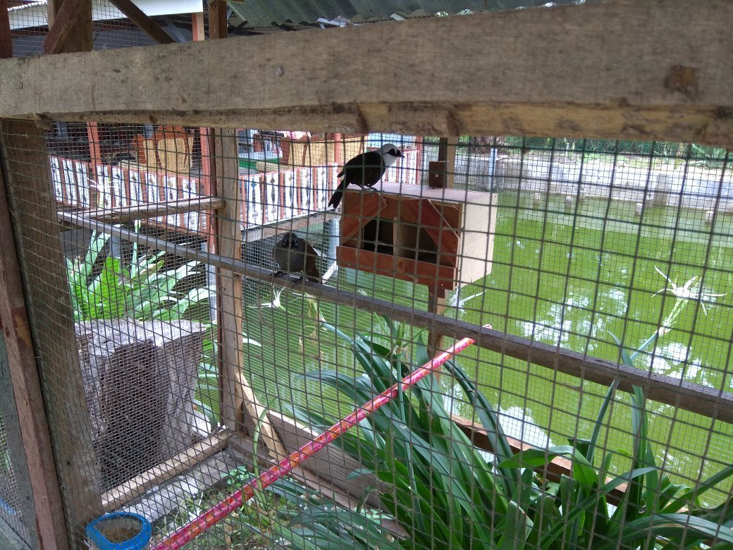 Pantai Pondok Permai-Pantai Cermin Kanan必去景点
