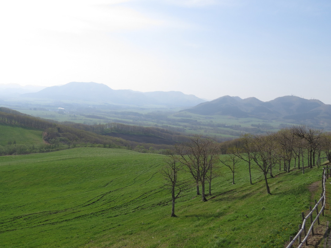 900草原展望台-弟子屈町必去景点