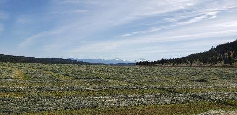 Faith Hope and Charity Vineyards and Events Center-Terrebonne必去景点