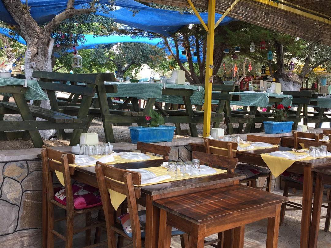 Kaymak Tepesi Tatil Evi