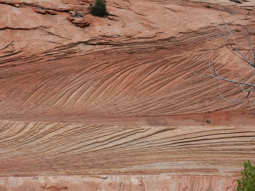 East Rim Trail-锡安国家公园必去景点