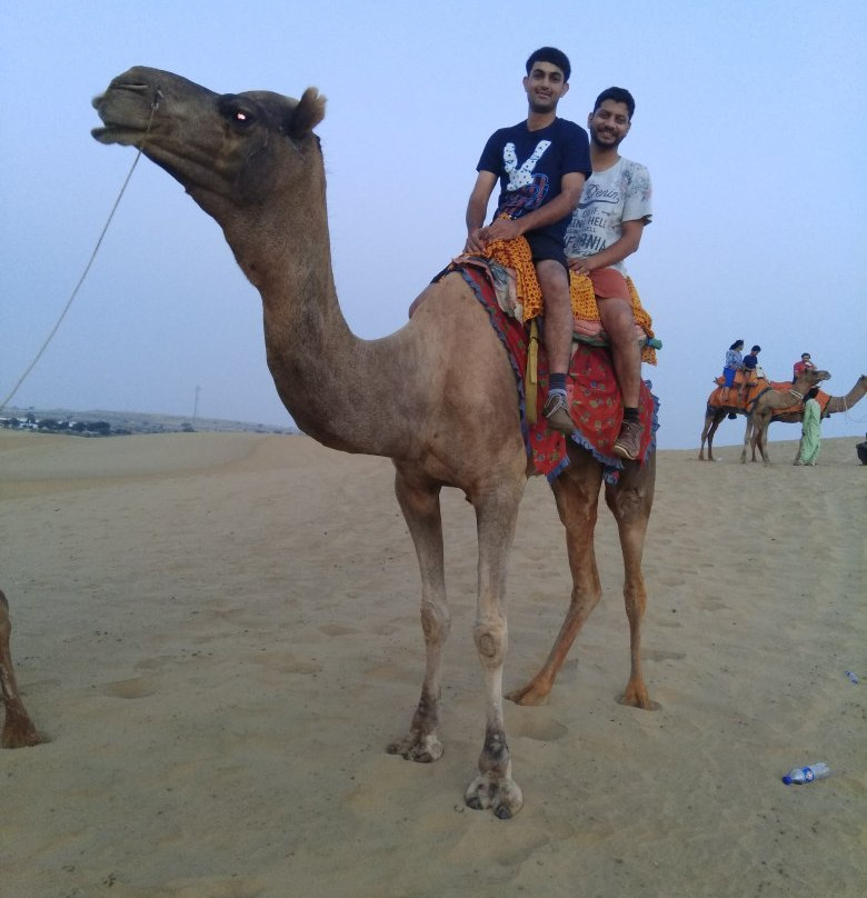 Bikaner Camel Safari景点图片