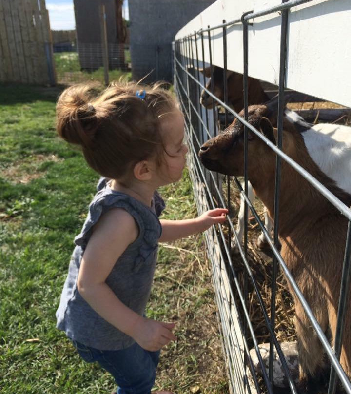 Youth Farm Corn Maze-Rosthern必去景点