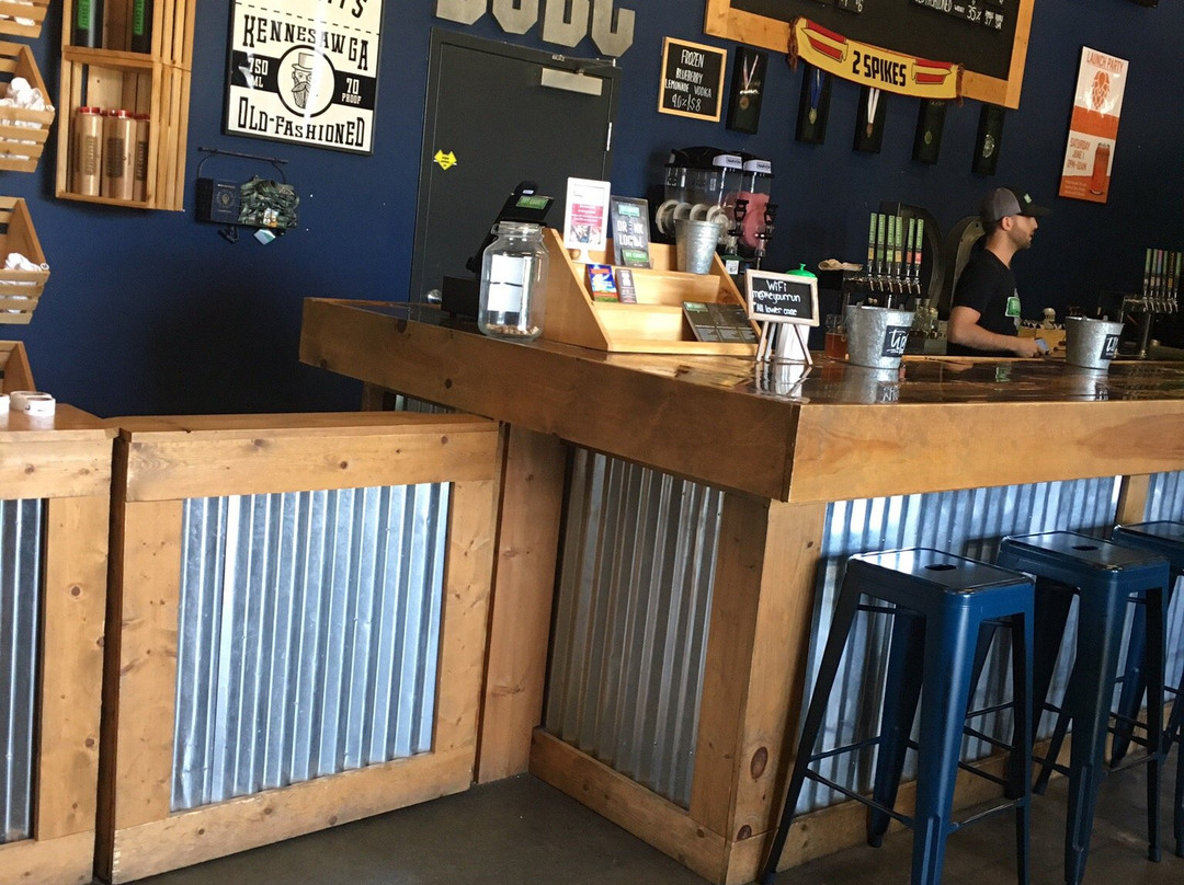 Dry County Brewing Company-肯纳索必去景点