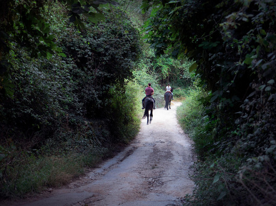 Algendar Rutes-米诺卡必去景点