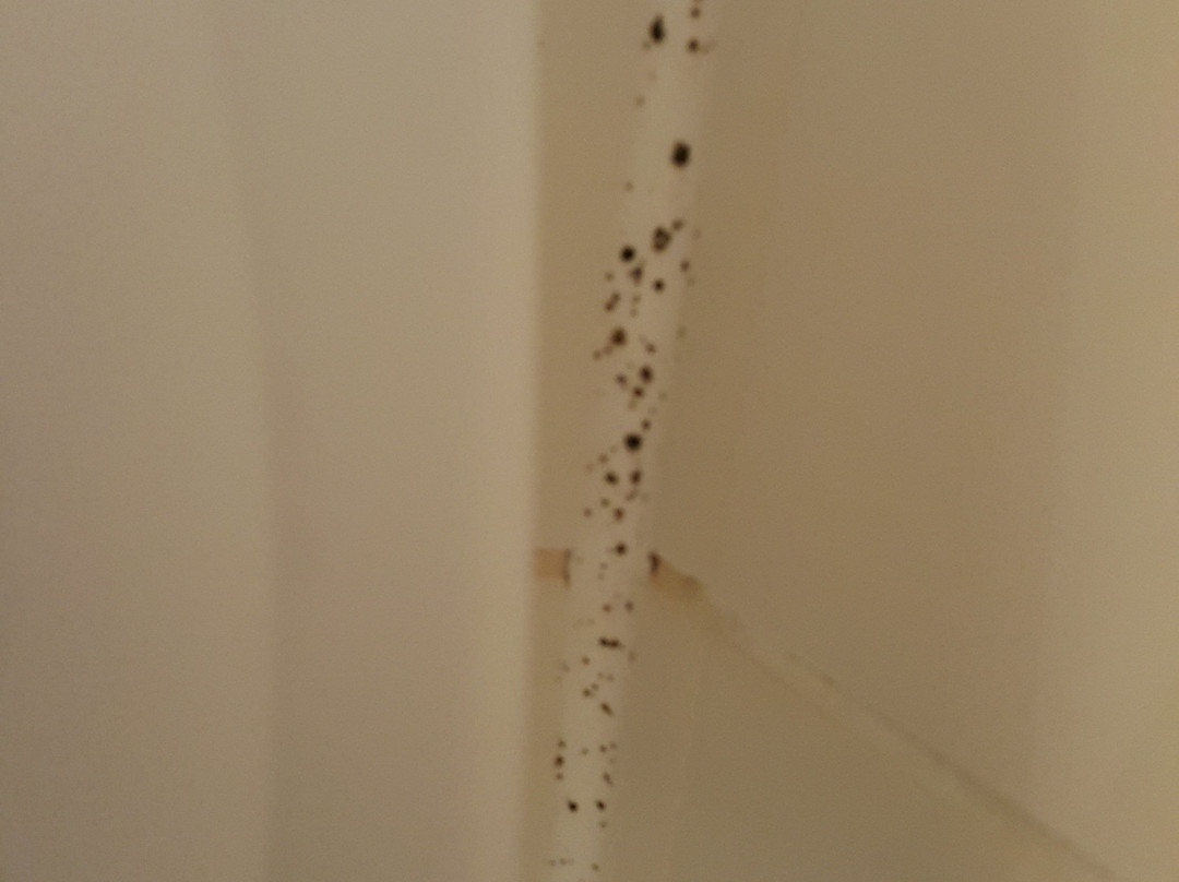 OYO Flexistay Ambers Gatwick Apart主图