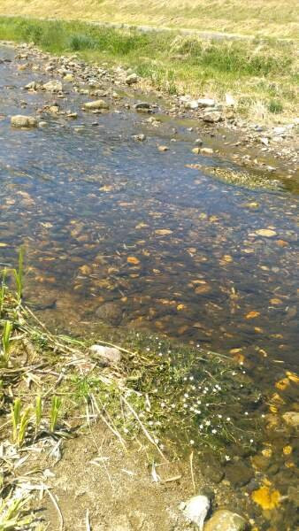 Baikamo Park-新温泉町必去景点