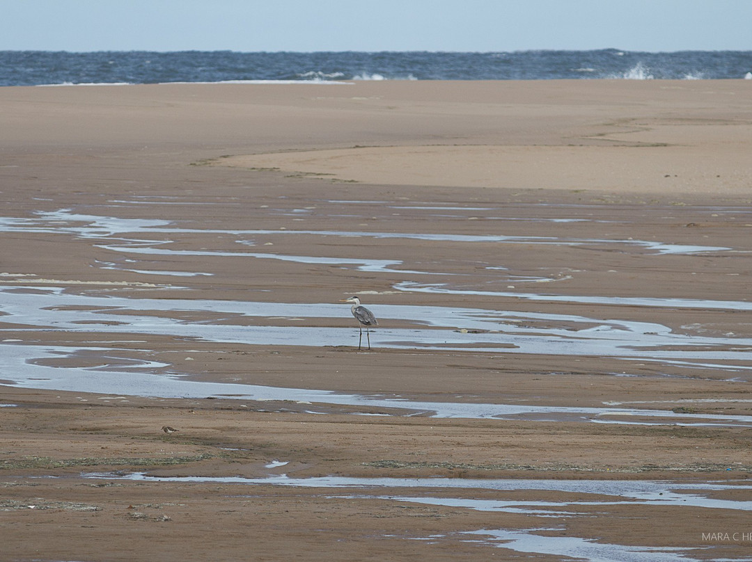 Sendero Barra de la Laguna-La Pedrera必去景点