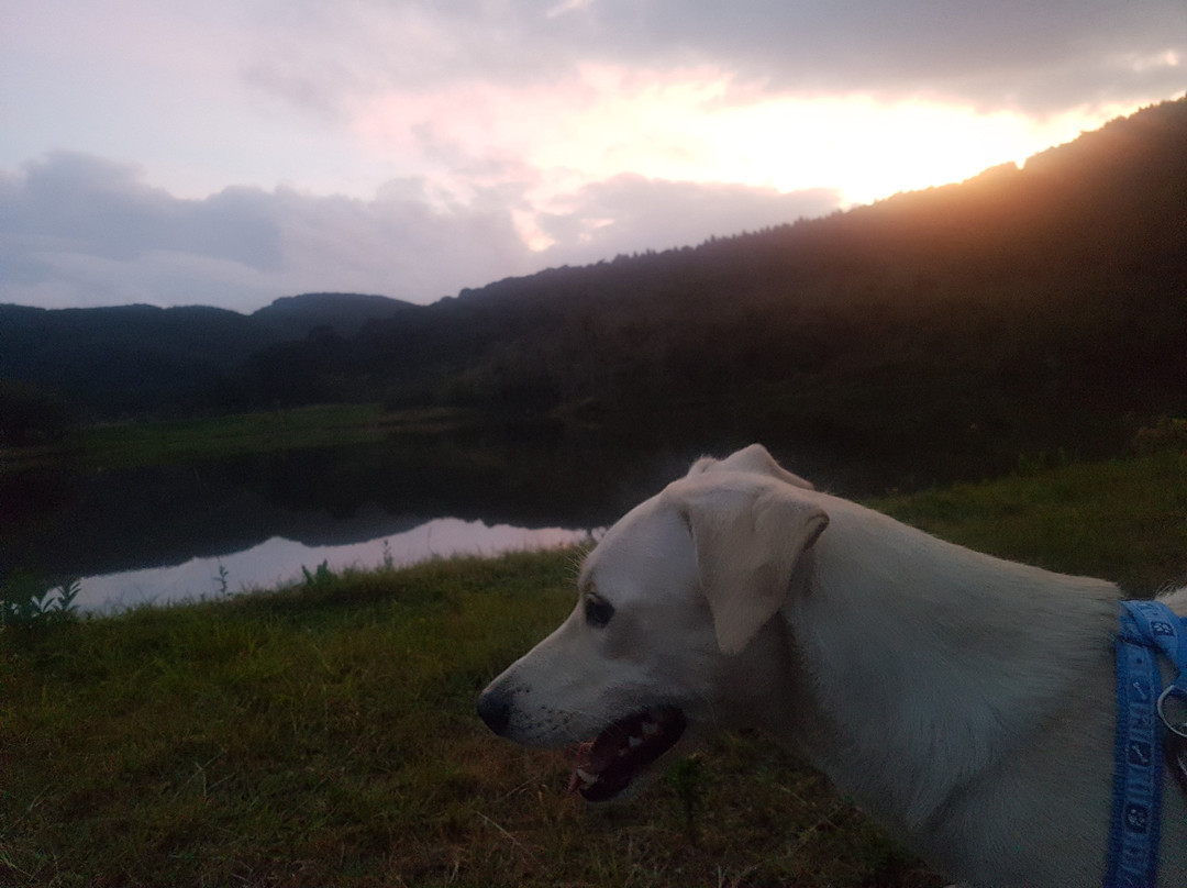 Estalagem Tronador主图