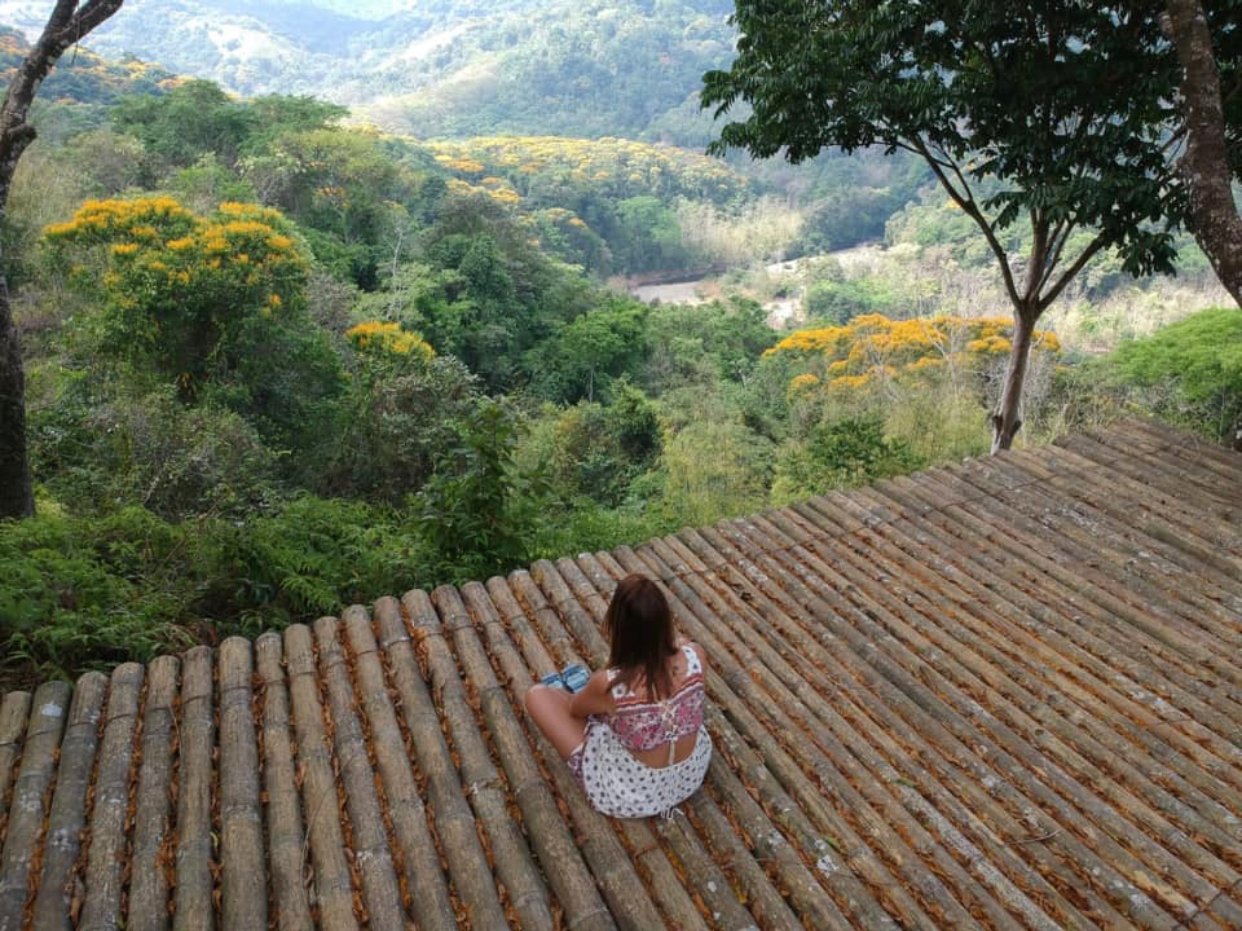 Waterfall Villas-官方