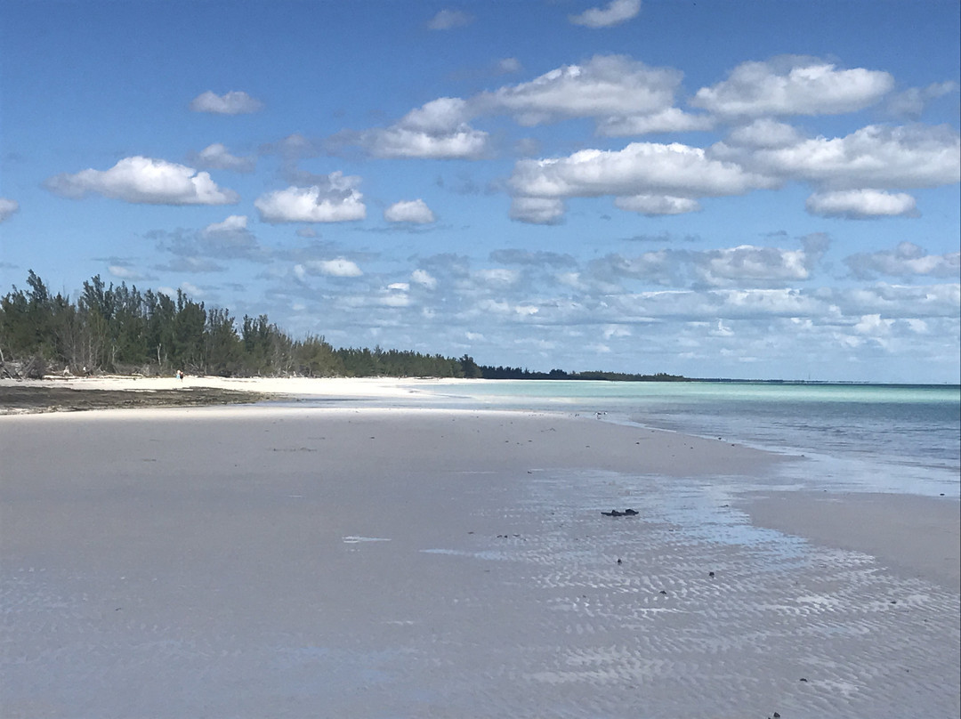 Ocean Reef Yacht Club & Resort主图