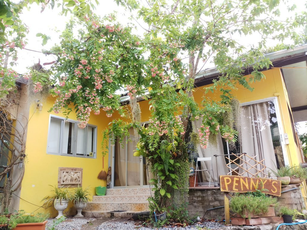 Penny Home Stay Resort主图