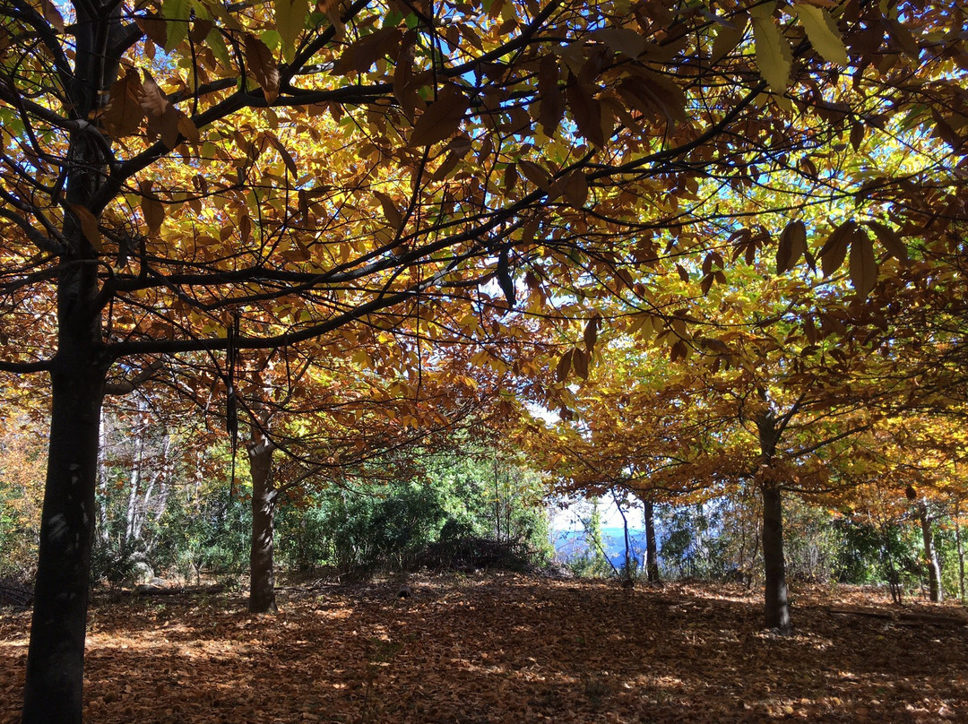 Andeae-San Fabian必去景点