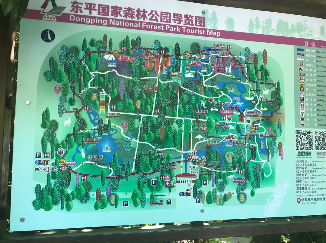 东平国家森林公园-崇明县必去景点