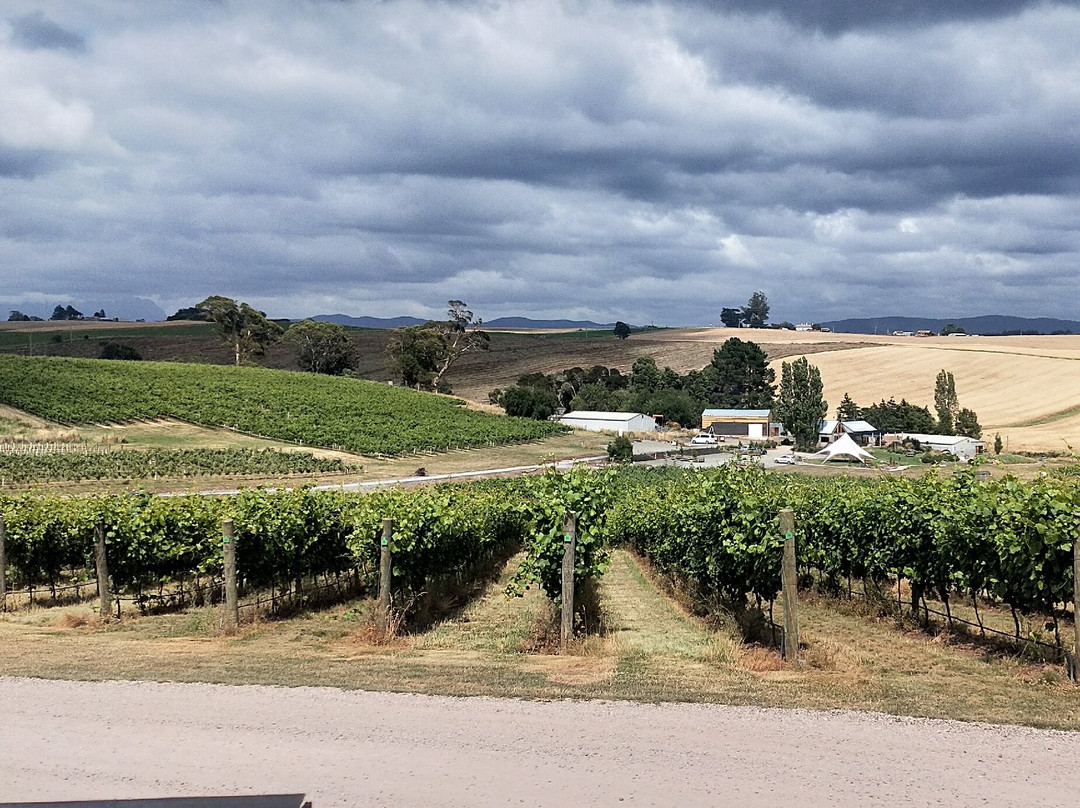 Eastford Creek Vineyard-Sassafras必去景点