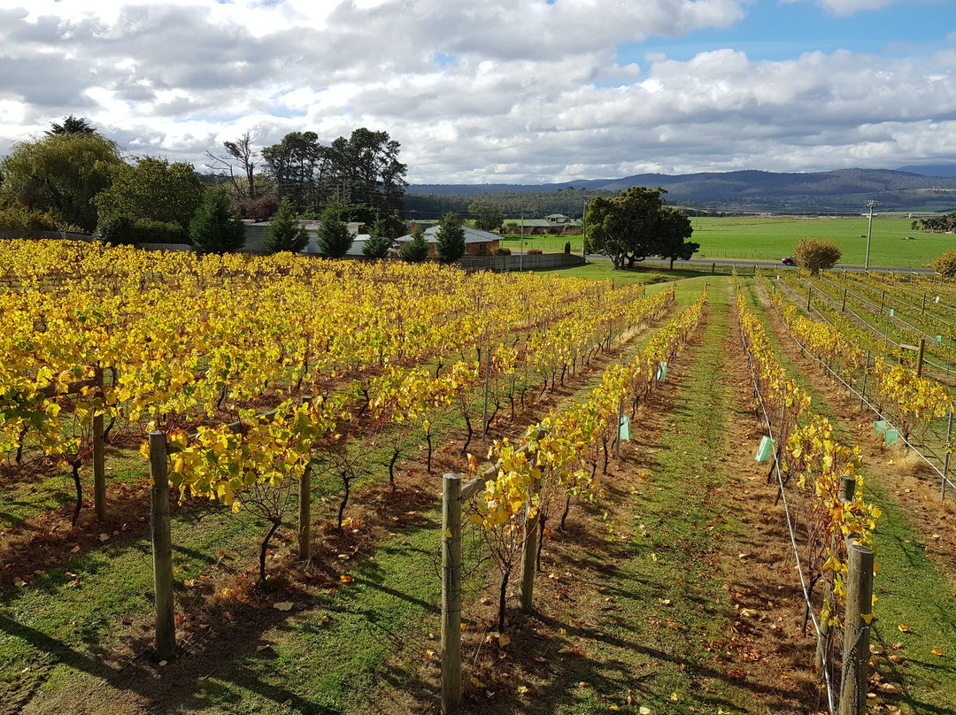 Velo Winery & Cellar Door-Legana必去景点