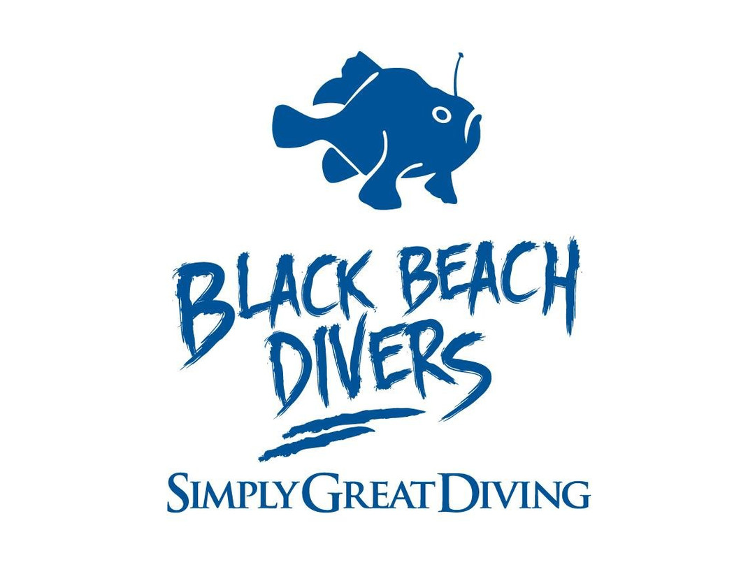Black Beach Divers景点图片