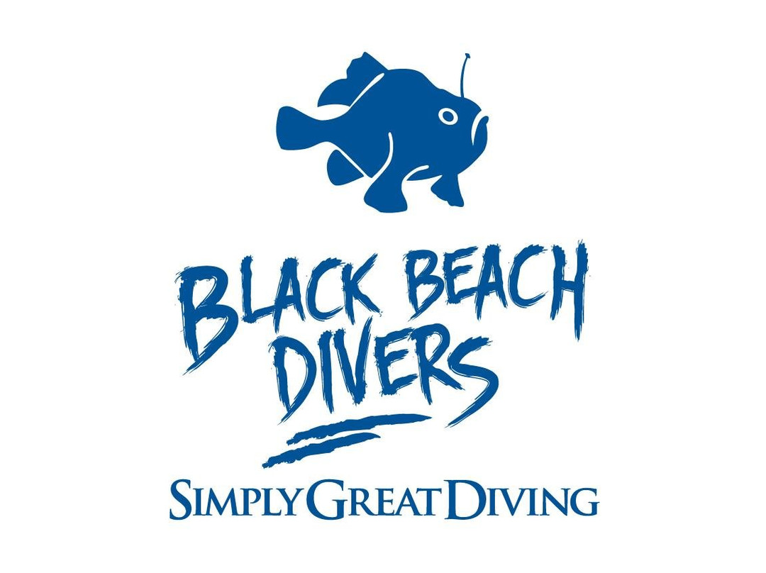 Black Beach Divers
