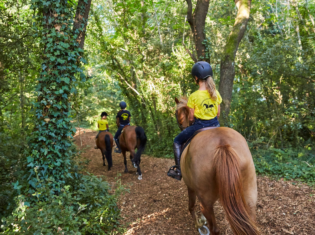 Manège des Platanes-拉博尔埃斯库布拉克必去景点