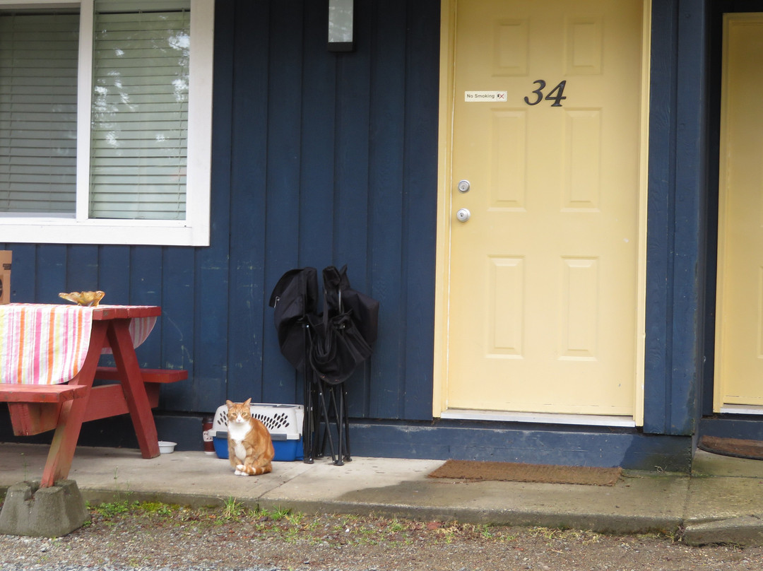 Riverside Resort主图