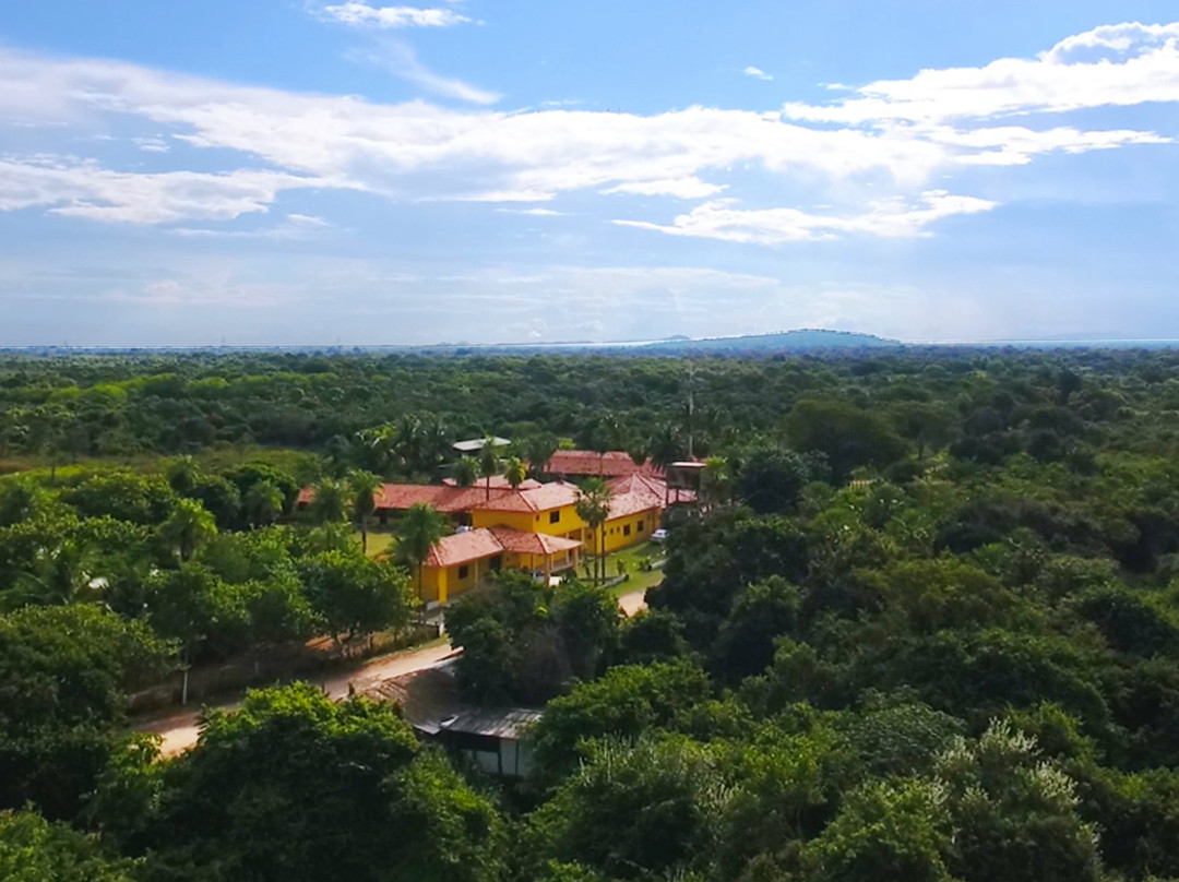 Porto旅游攻略图片