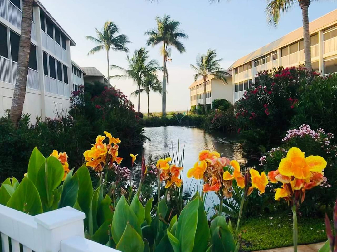 Sanibel Siesta on the Beach主图