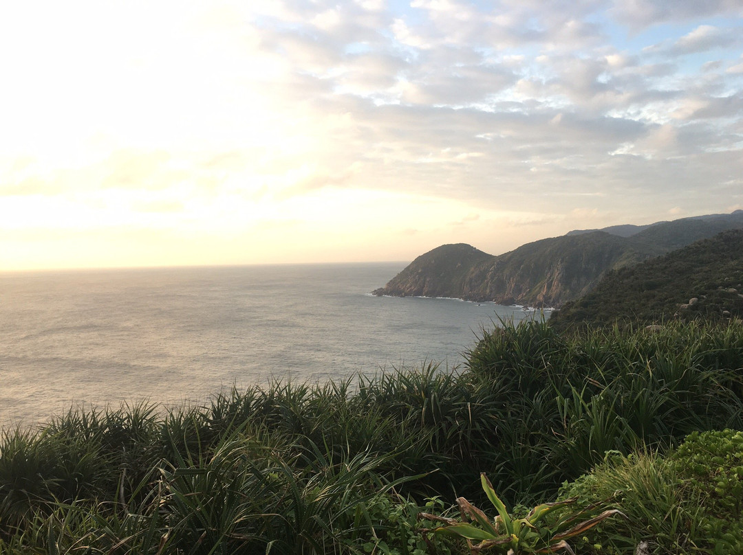 Nau House Homestay主图