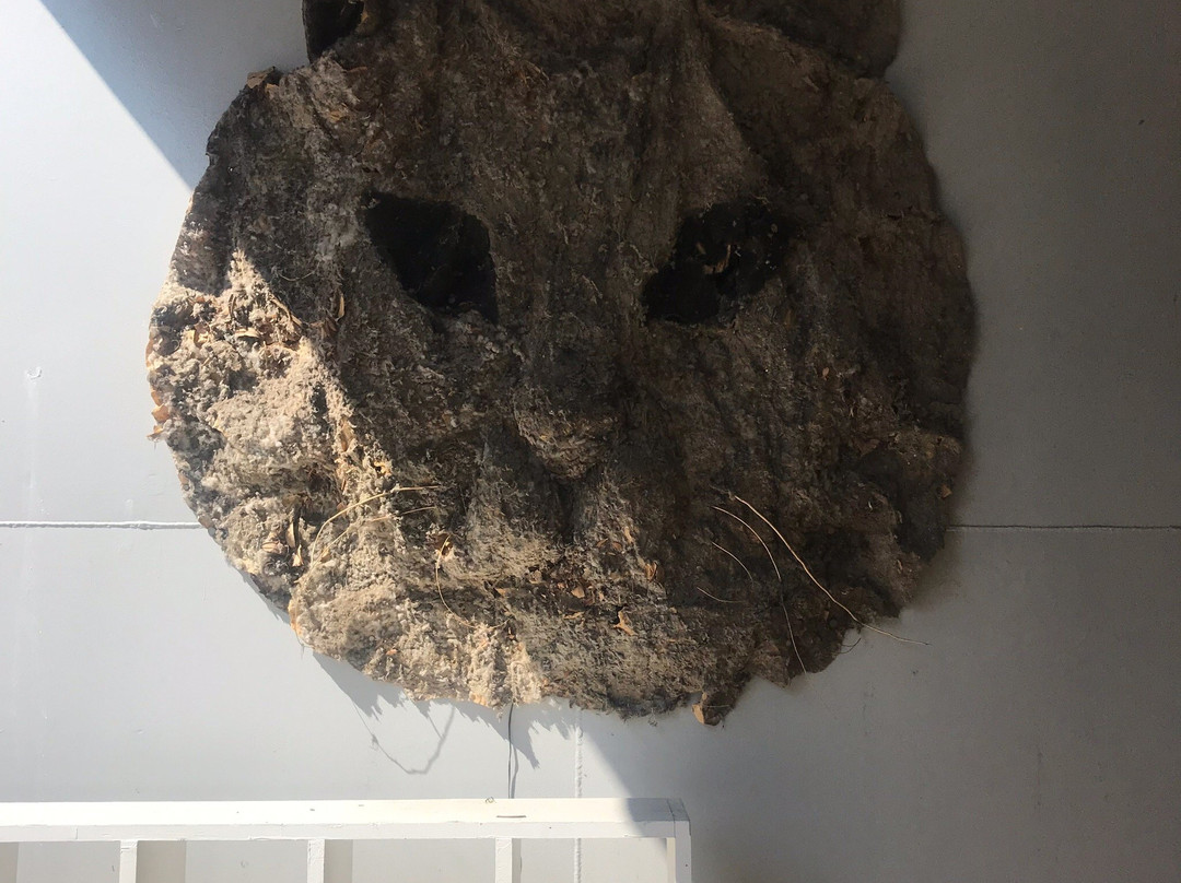 R16 Studio-Nishi必去景点