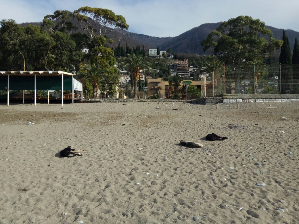 Central Beach-Gagra必去景点