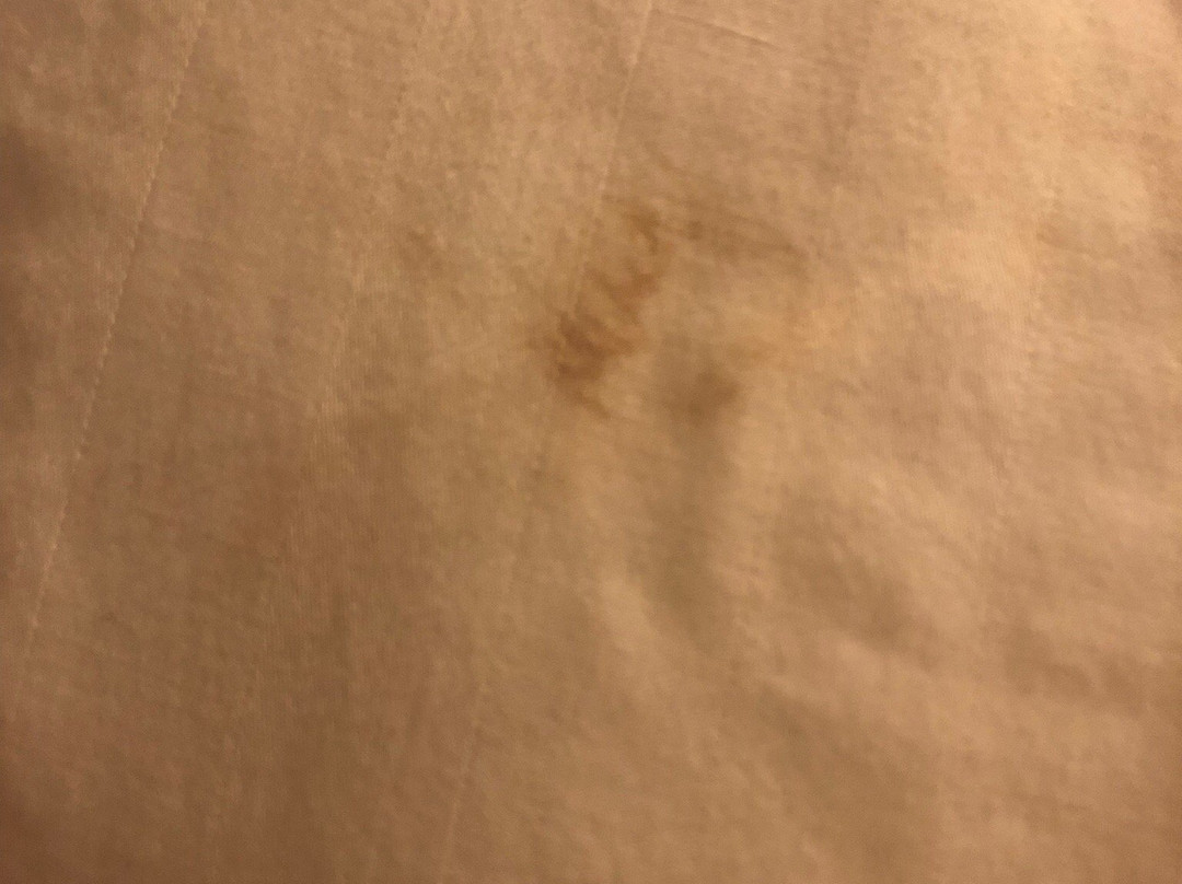 Econo Lodge Inn & Suites Joplin主图