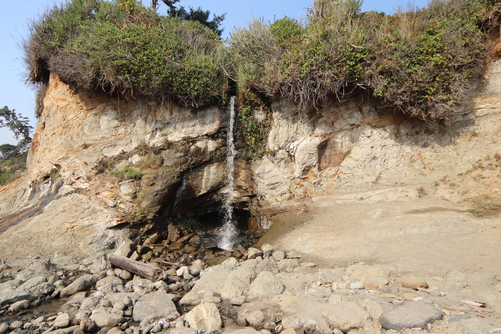 Otter Crest Marine Gardens-Otter Rock必去景点