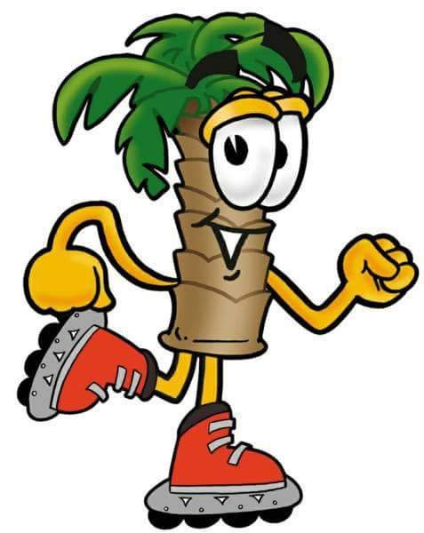 Aloha Roller Palace-梅斯基特必去景点