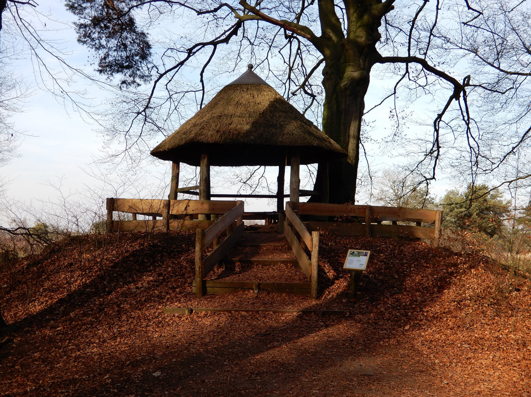 Oude Buisse Heide-Zundert必去景点
