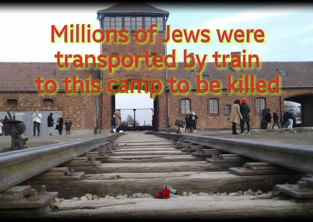 Krakow Auschwitz - Tours景点图片
