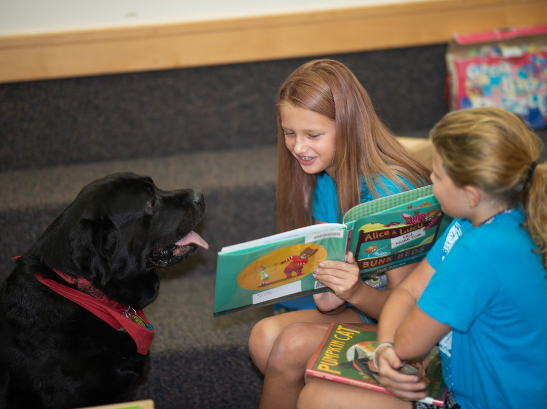 Allegany County Library System - George's Creek Library-Lonaconing必去景点