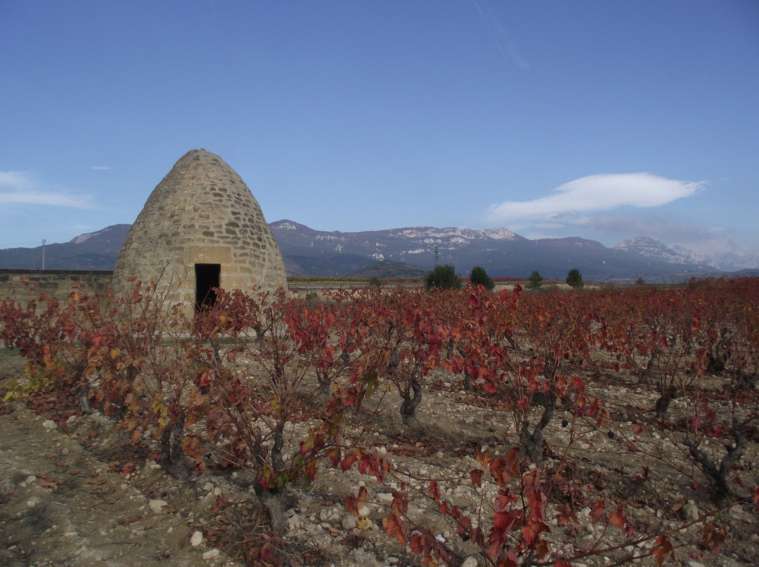 Tour Wine Crawl-Lodosa必去景点