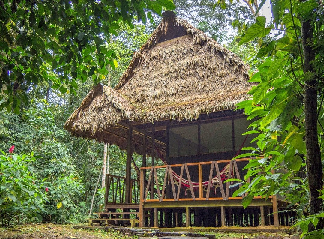 Madidi Jungle Ecolodge