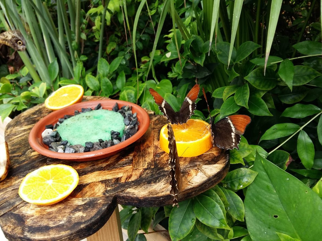 La Casa delle Farfalle-Ragusa CIty必去景点