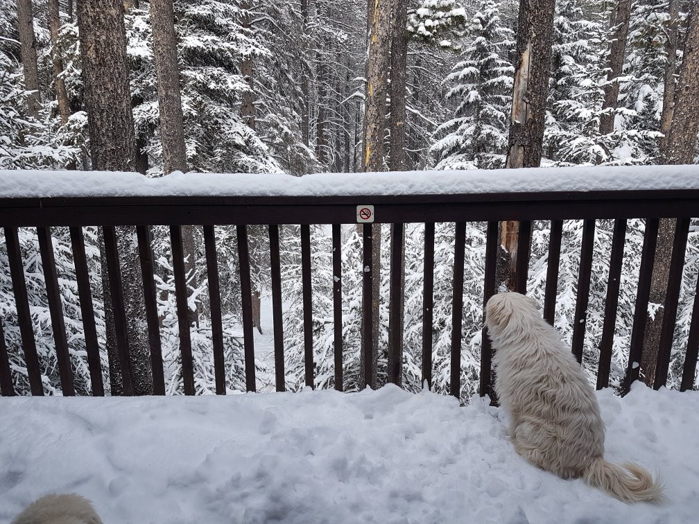 The Resort at Cypress Hills主图