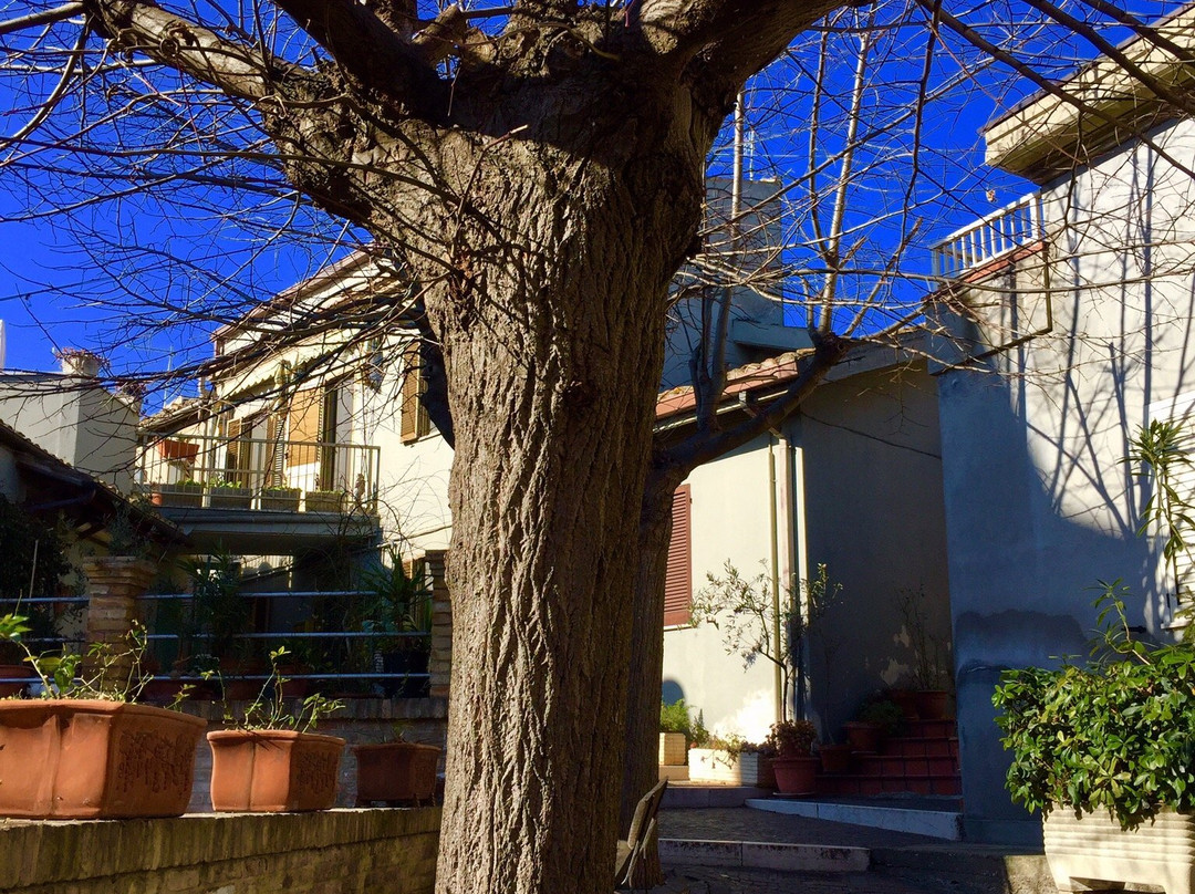 Fontana storica di Silvi-Silvi Paese必去景点