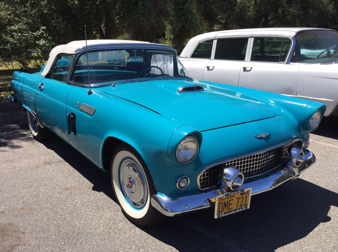 Deer Park Winery & Auto Museum-埃斯孔迪多必去景点