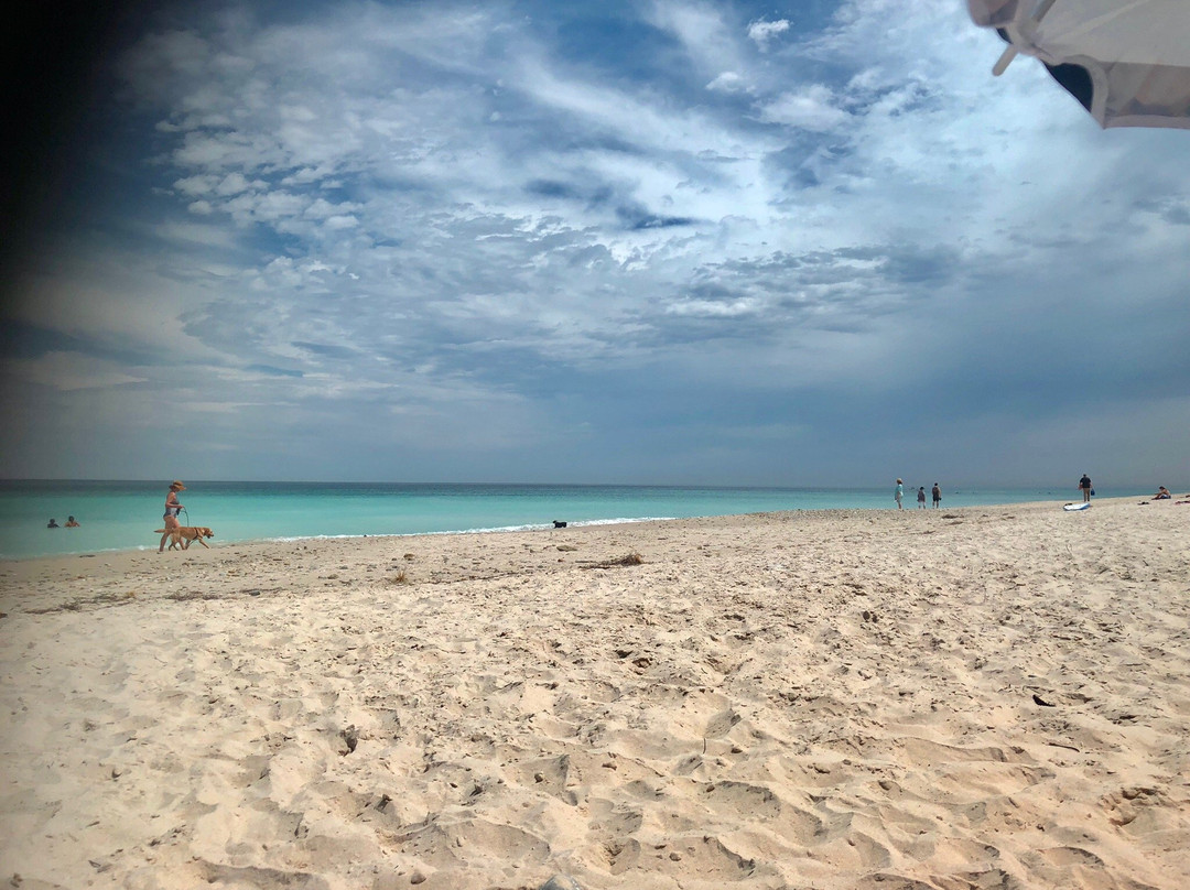Port Willunga Beach Rides景点图片