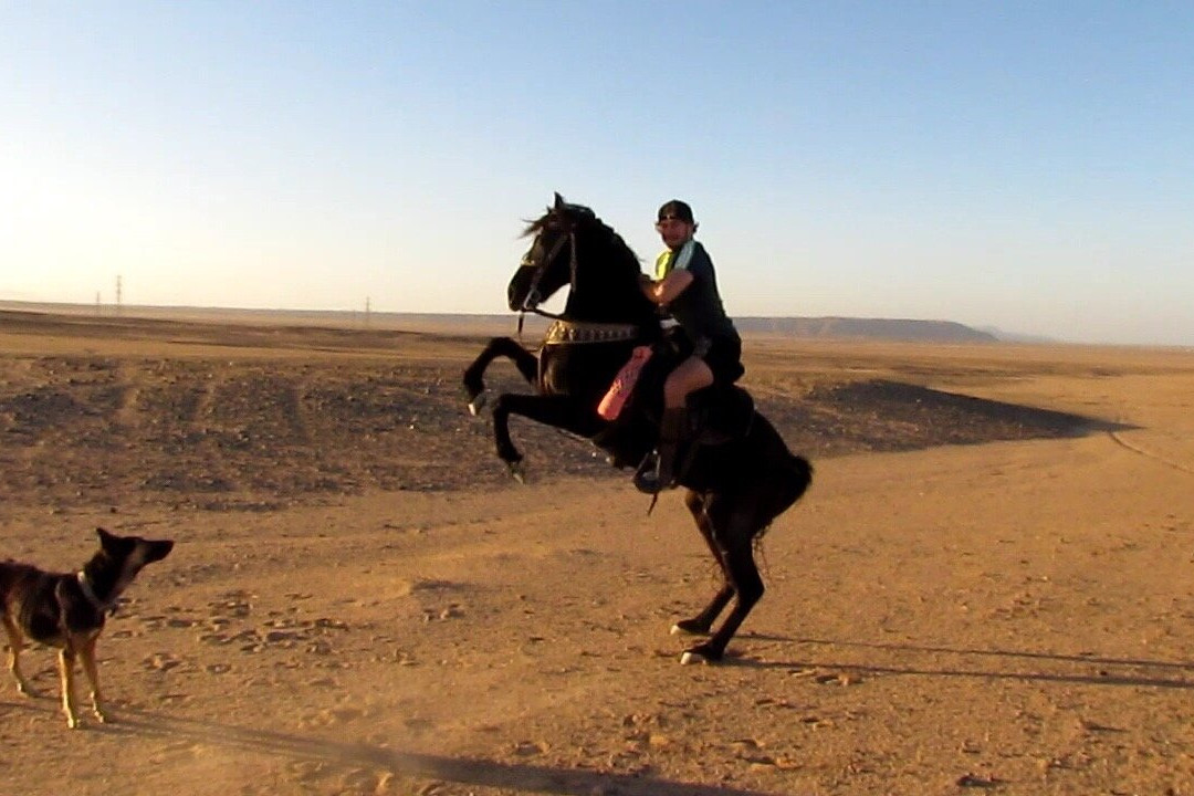 HorseTrips Hurghada景点图片