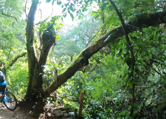 Meraki Mountain Bike Tours-朴次茅斯必去景点