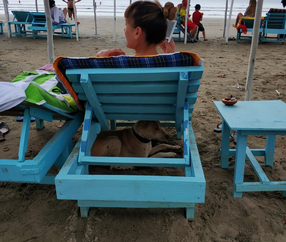 Rococco Ashvem主图