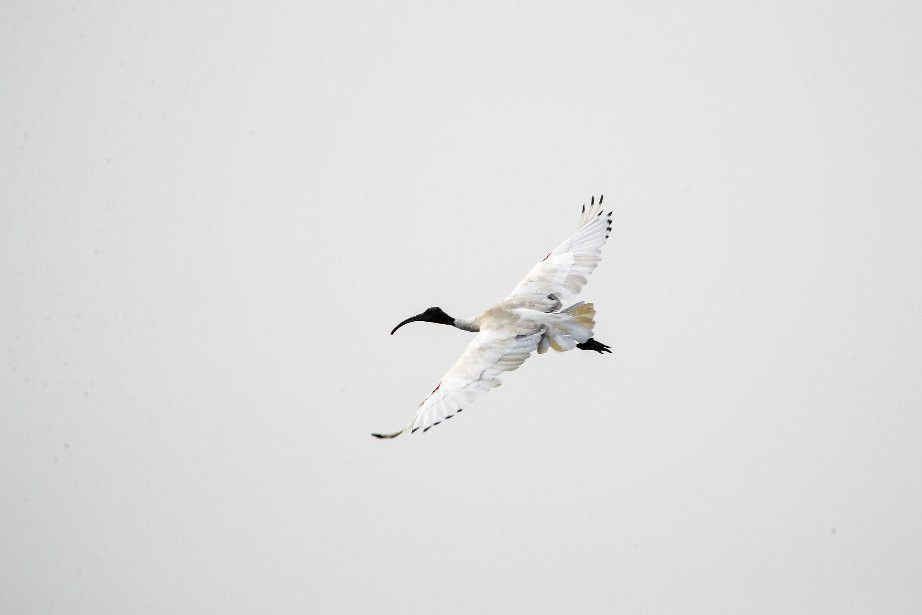 Toora Bird Hide-Toora必去景点