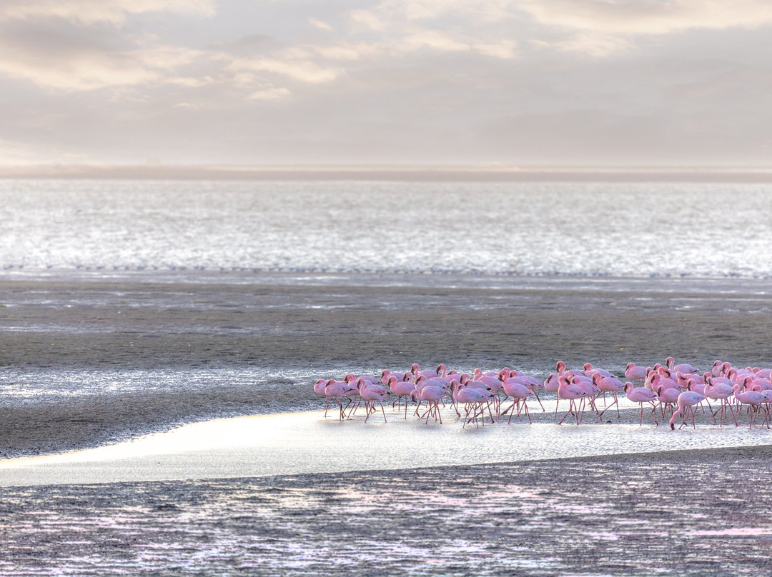 火烈鸟别墅精品酒店主图